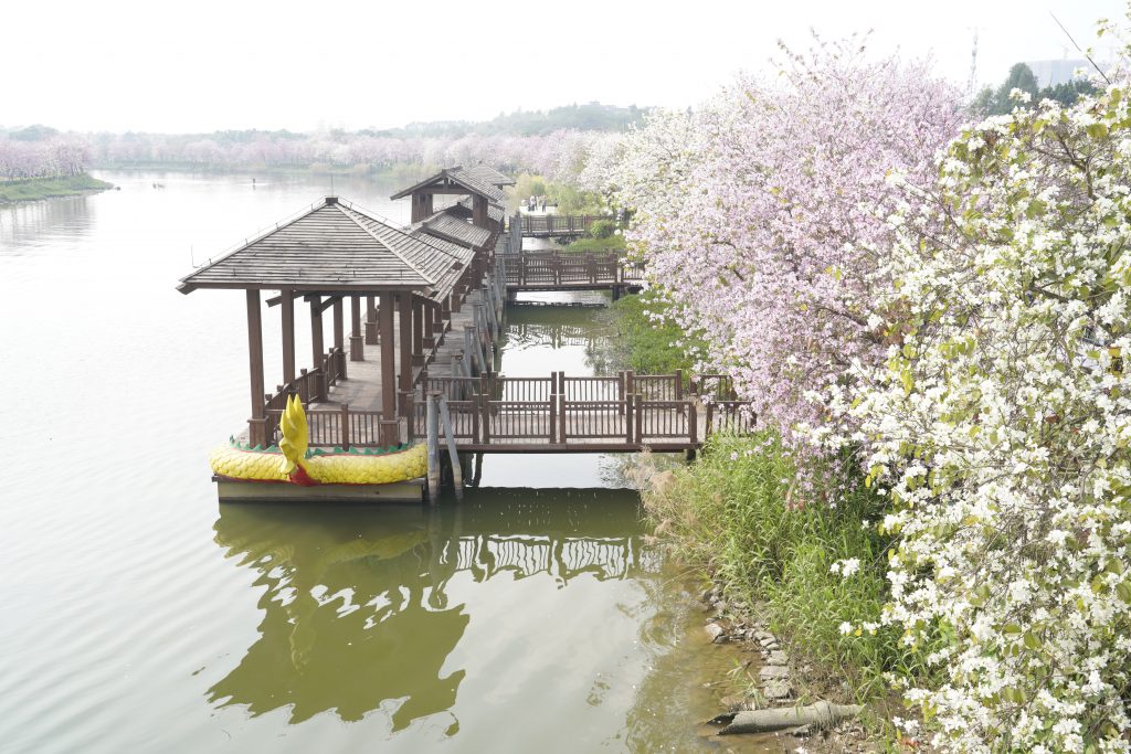广州海珠国家湿地公园